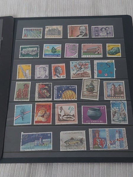 galleryimage 3