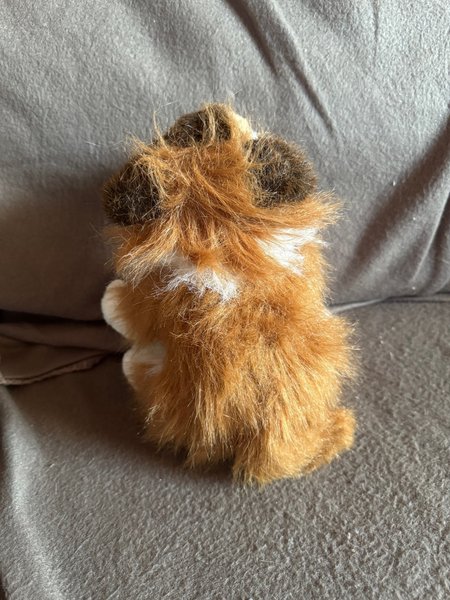 galleryimage 2 zoomed in