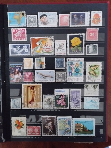 galleryimage 2 zoomed in