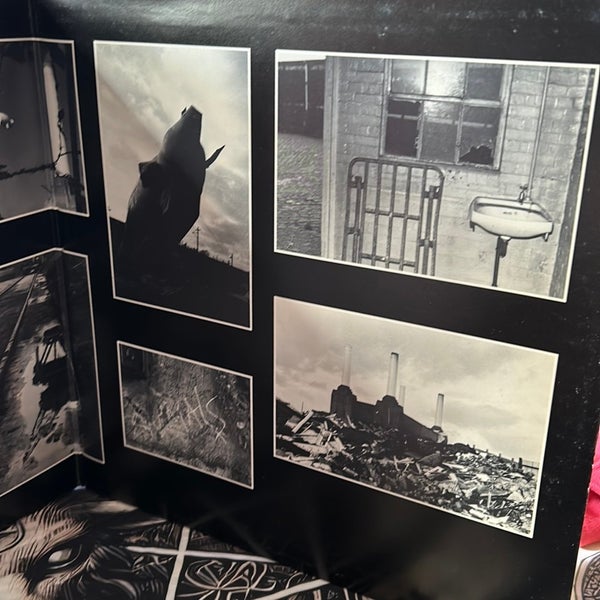 galleryimage 3