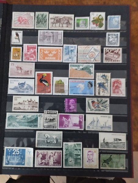 galleryimage 2 zoomed in