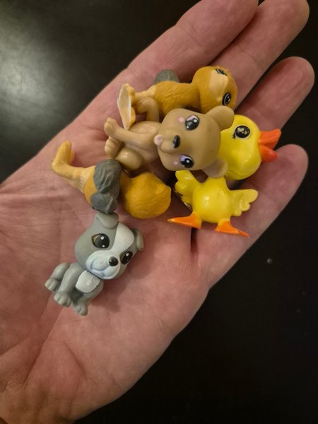 galleryimage 2 zoomed in