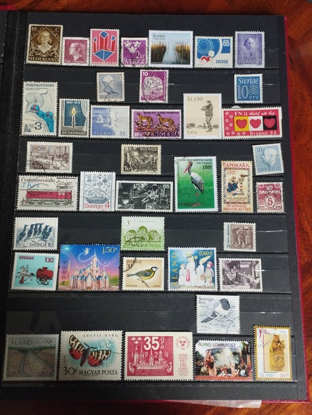 galleryimage 2