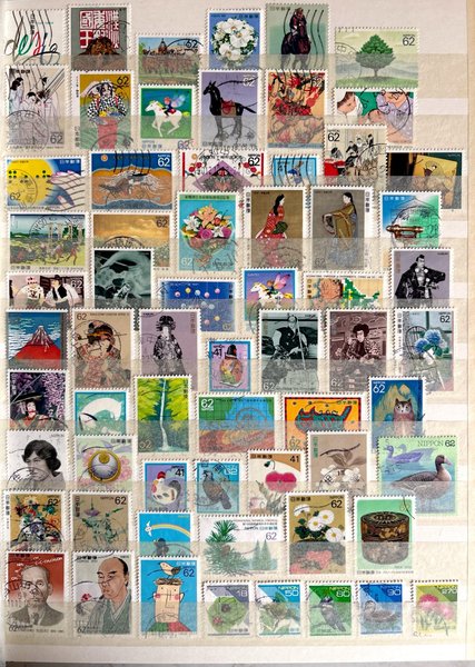 galleryimage 2