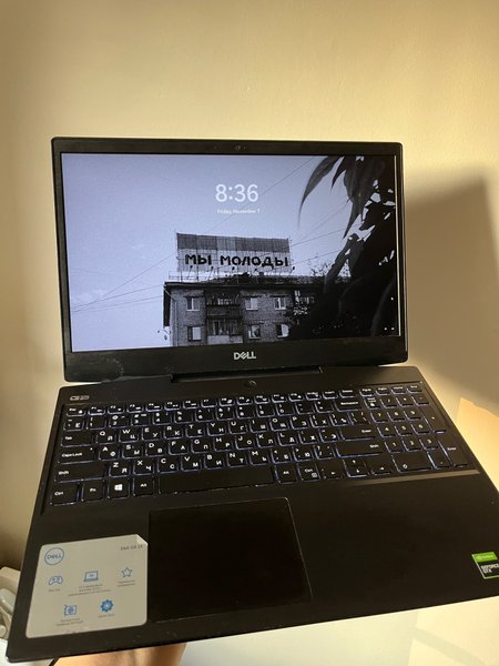 galleryimage 2 zoomed in