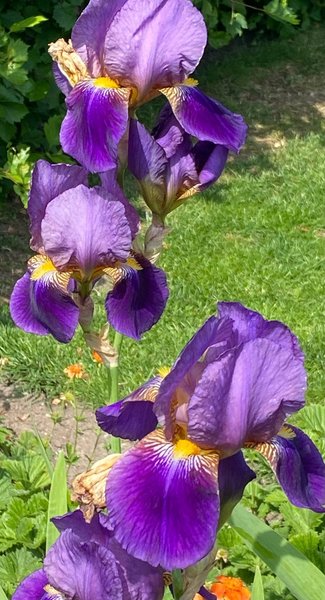 galleryimage 2