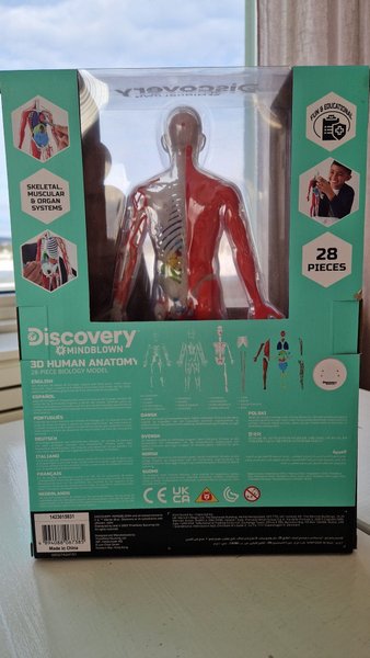 galleryimage 2 zoomed in