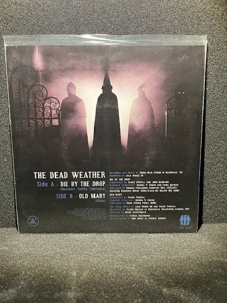 galleryimage 2 zoomed in