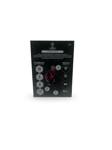 galleryimage 2 zoomed in