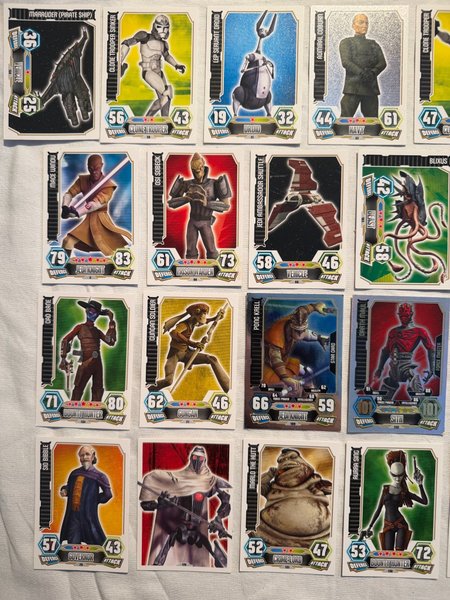 galleryimage 2
