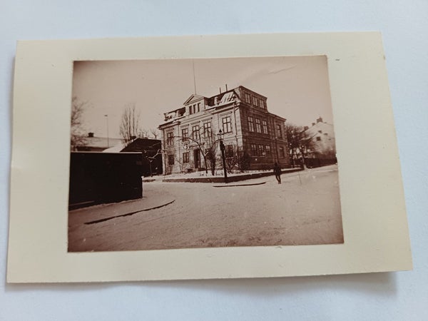galleryimage 3