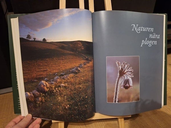 galleryimage 3