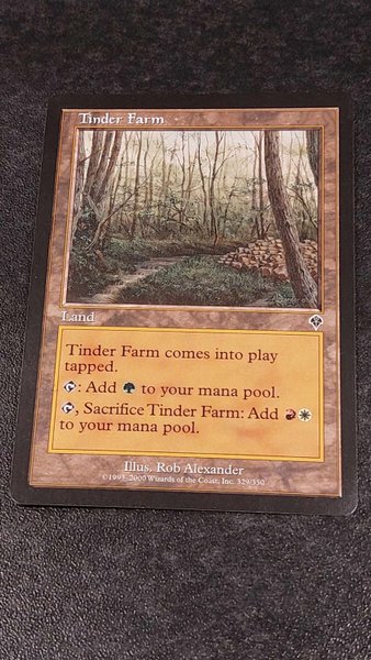 galleryimage 2 zoomed in