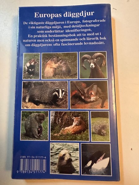 galleryimage 2 zoomed in