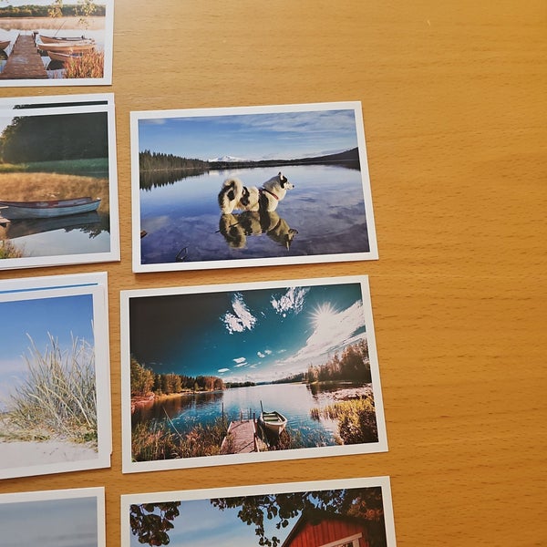 galleryimage 3