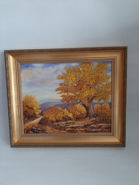 galleryimage 3