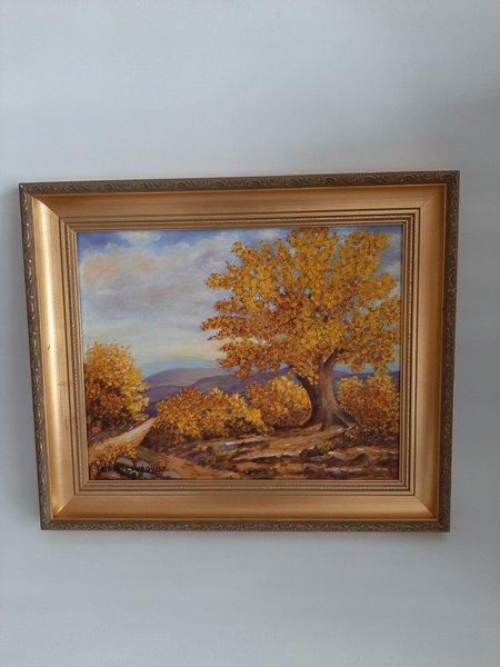 galleryimage 2