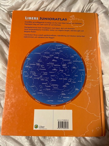 galleryimage 2 zoomed in