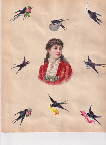 galleryimage 3