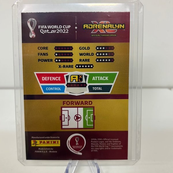 galleryimage 2 zoomed in