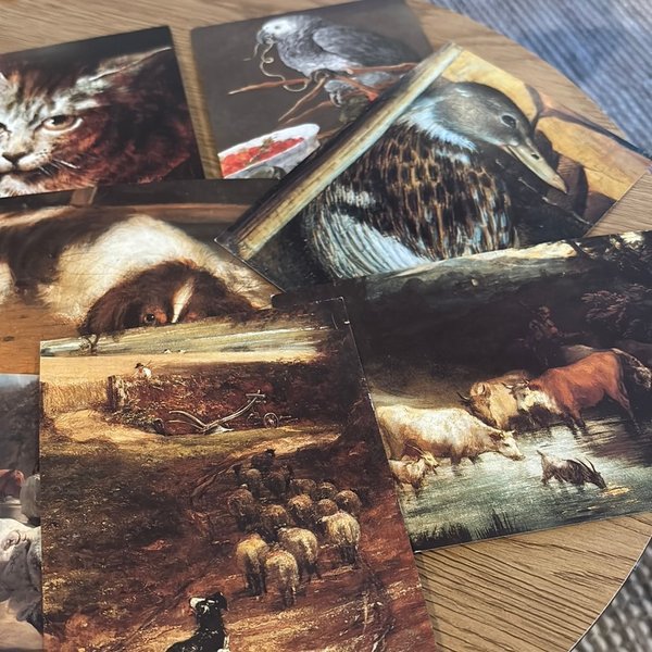 galleryimage 3