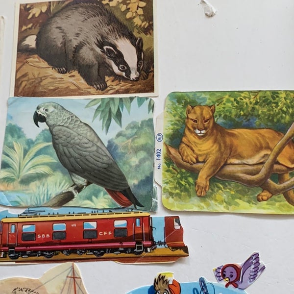 galleryimage 3