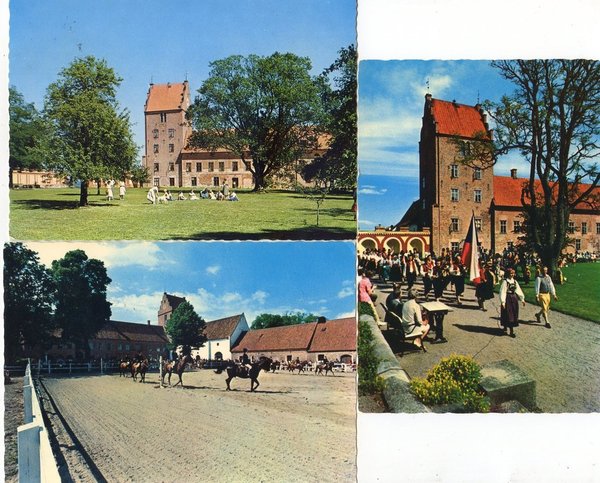 galleryimage 3