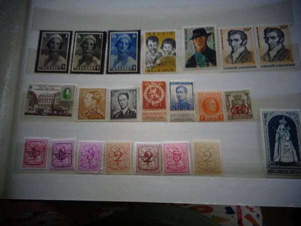 galleryimage 2