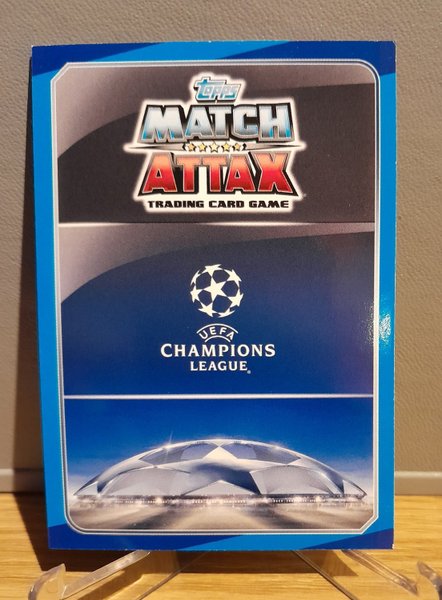 galleryimage 2 zoomed in