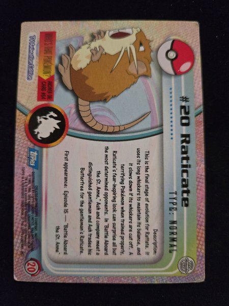 galleryimage 2 zoomed in