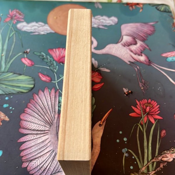 galleryimage 2 zoomed in