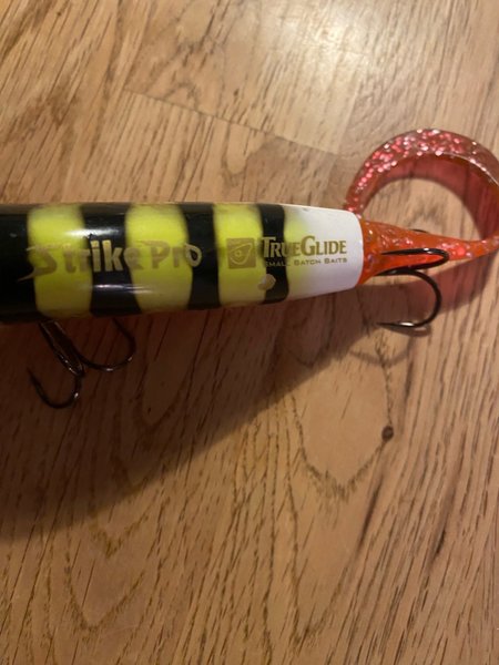 galleryimage 2 zoomed in