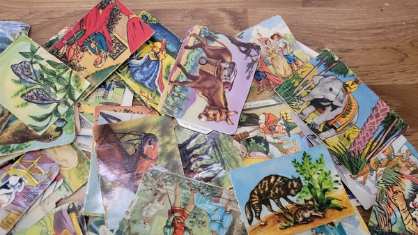 galleryimage 3