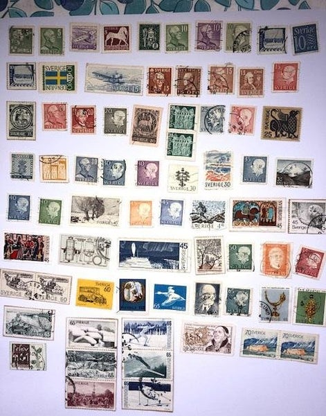 galleryimage 2 zoomed in