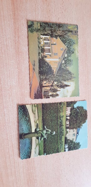 galleryimage 3