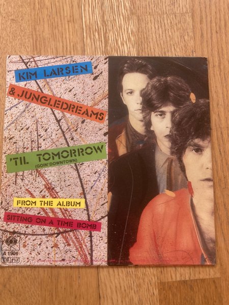 galleryimage 2 zoomed in