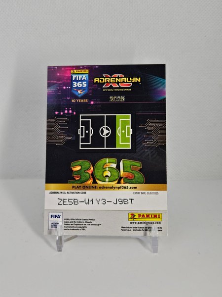 galleryimage 2 zoomed in