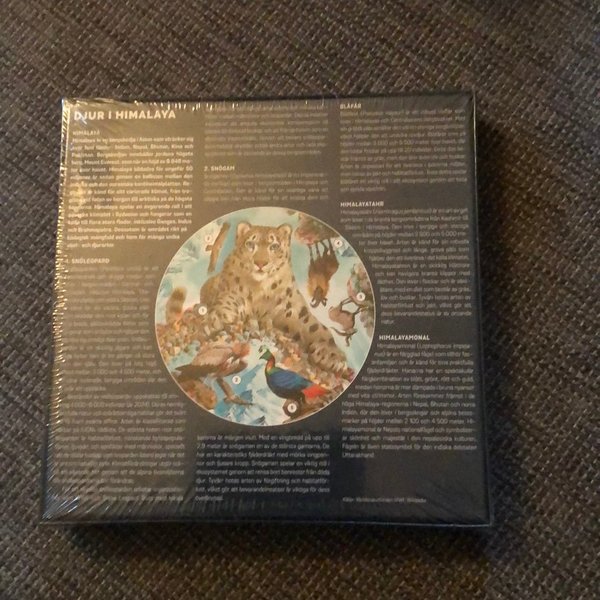 galleryimage 2 zoomed in