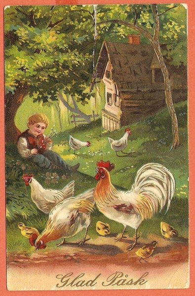 galleryimage 2 zoomed in