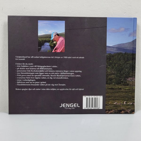 galleryimage 2