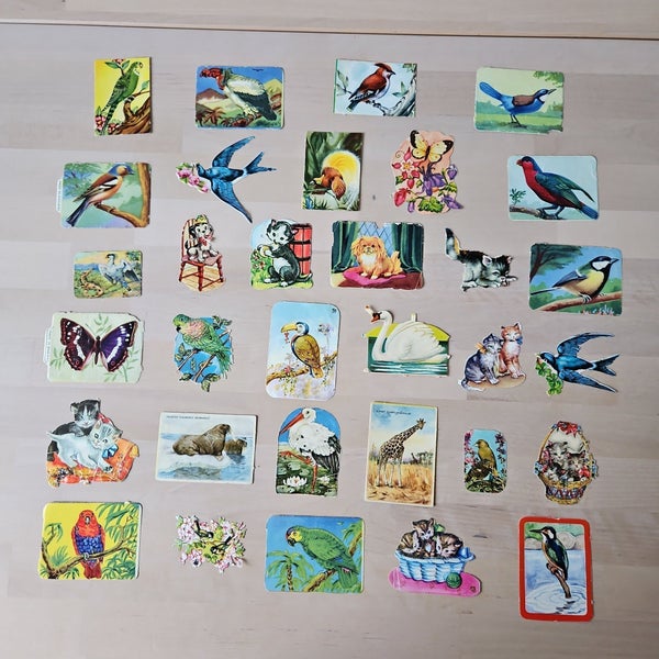 galleryimage 2