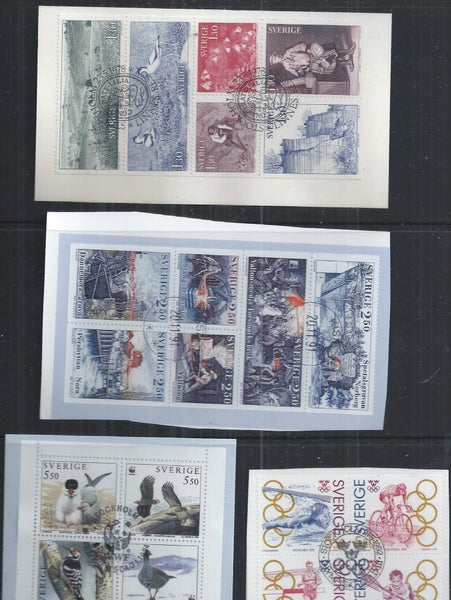 galleryimage 3