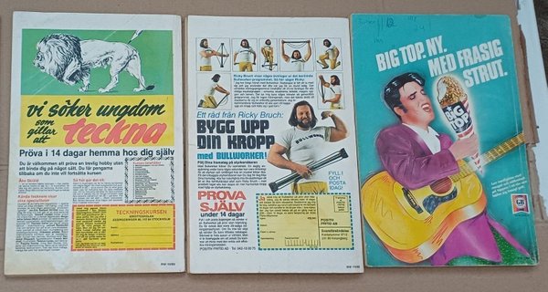 galleryimage 2 zoomed in