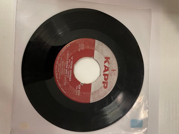 galleryimage 2 zoomed in