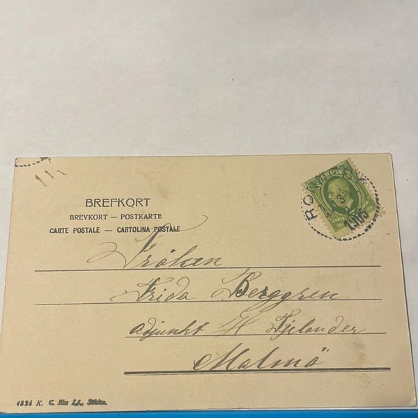 galleryimage 2 zoomed in