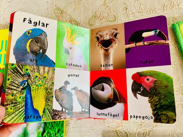 galleryimage 3