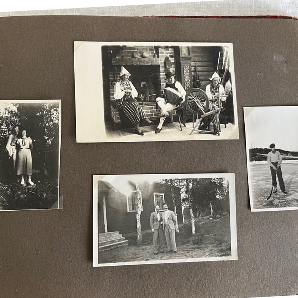 galleryimage 3