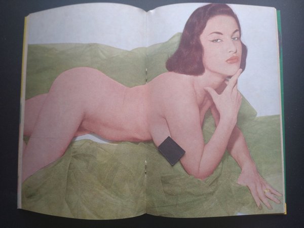 galleryimage 3