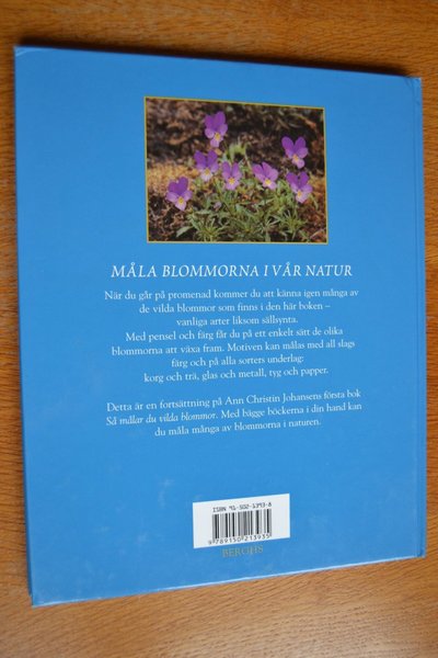 galleryimage 2 zoomed in