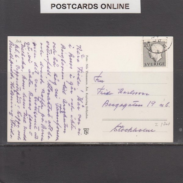 galleryimage 2 zoomed in